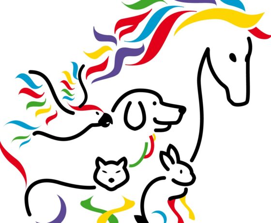 Ateliers de médiation animale